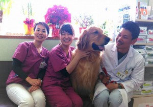 18447604_437909893244436_5239380138498443758_n